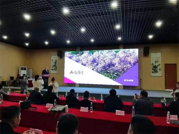商丘市睢阳区首届紫藤文化节4月10日开幕