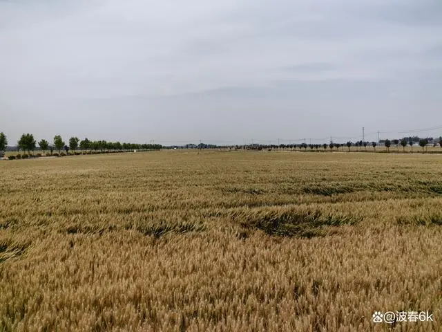 李部2_看图王.web.jpg