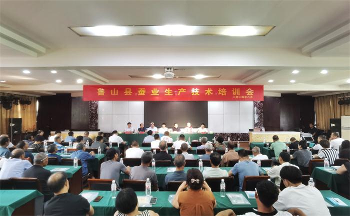 鲁山县：万物繁茂立秋时 秋蚕培训甘露至