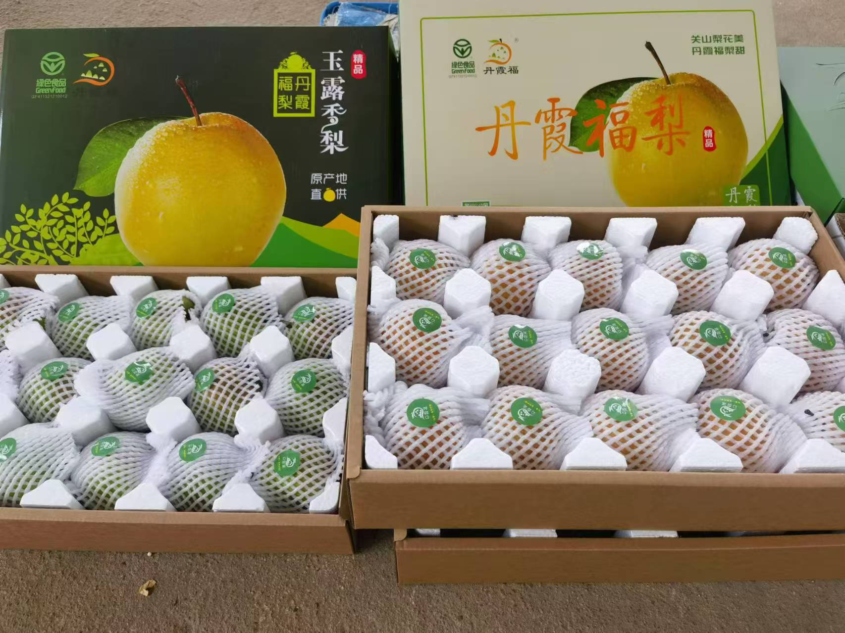图片4.jpg