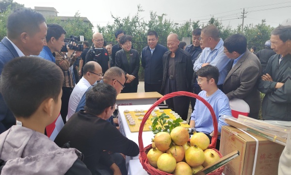 图片4.jpg