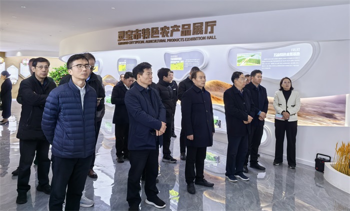 走进三门峡，谱写高质量发展新篇章