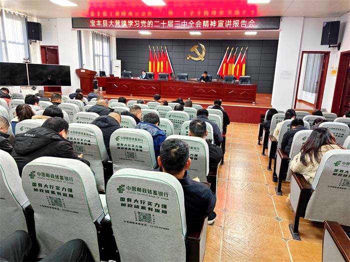 宝丰县委宣讲团到大营镇宣讲党的二十届三中全会精神