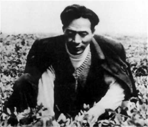 伟大的母亲 英雄的儿子——追记焦裕禄和他的母亲李星英发表之后（五）