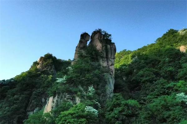 图片2.jpg